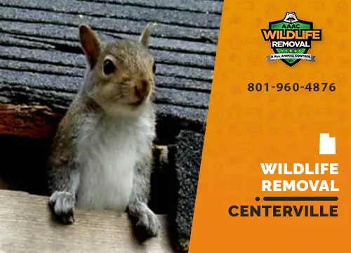 Centerville Wildlife Removal professional removing pest animal