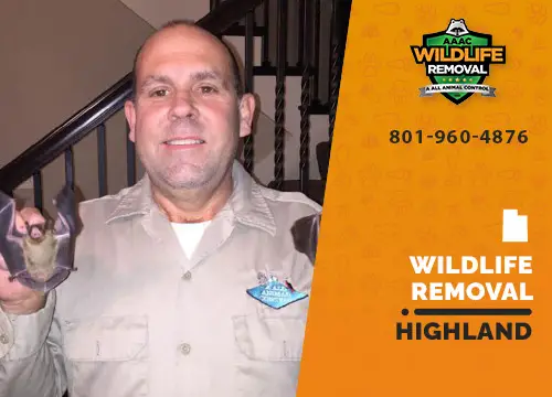 Highland Wildlife Removal professional removing pest animal