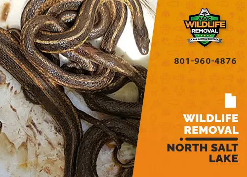 North Salt Lake Wildlife Removal professional removing pest animal