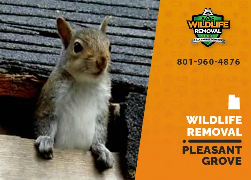 Pleasant Grove Wildlife Removal professional removing pest animal