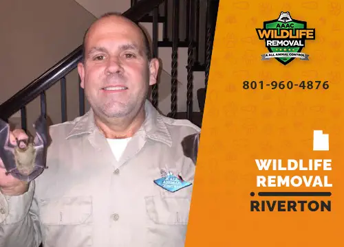 Riverton Wildlife Removal professional removing pest animal