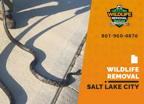 Salt Lake City Wildlife Removal professional removing pest animal