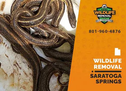 Saratoga Springs Wildlife Removal professional removing pest animal