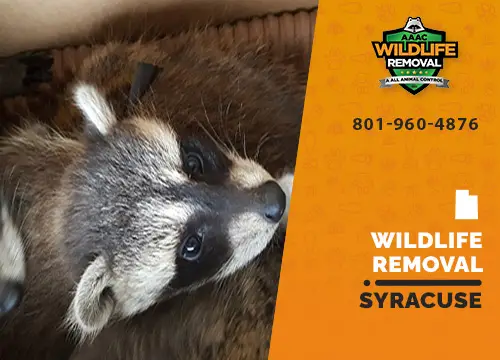 Syracuse Wildlife Removal professional removing pest animal
