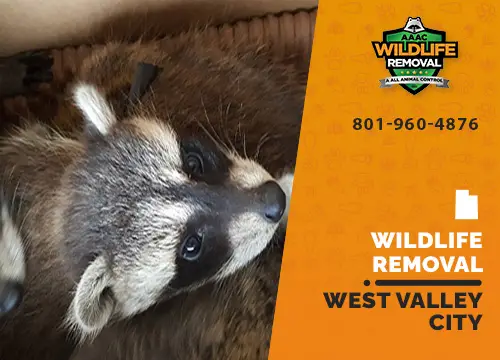 West Valley City Wildlife Removal professional removing pest animal